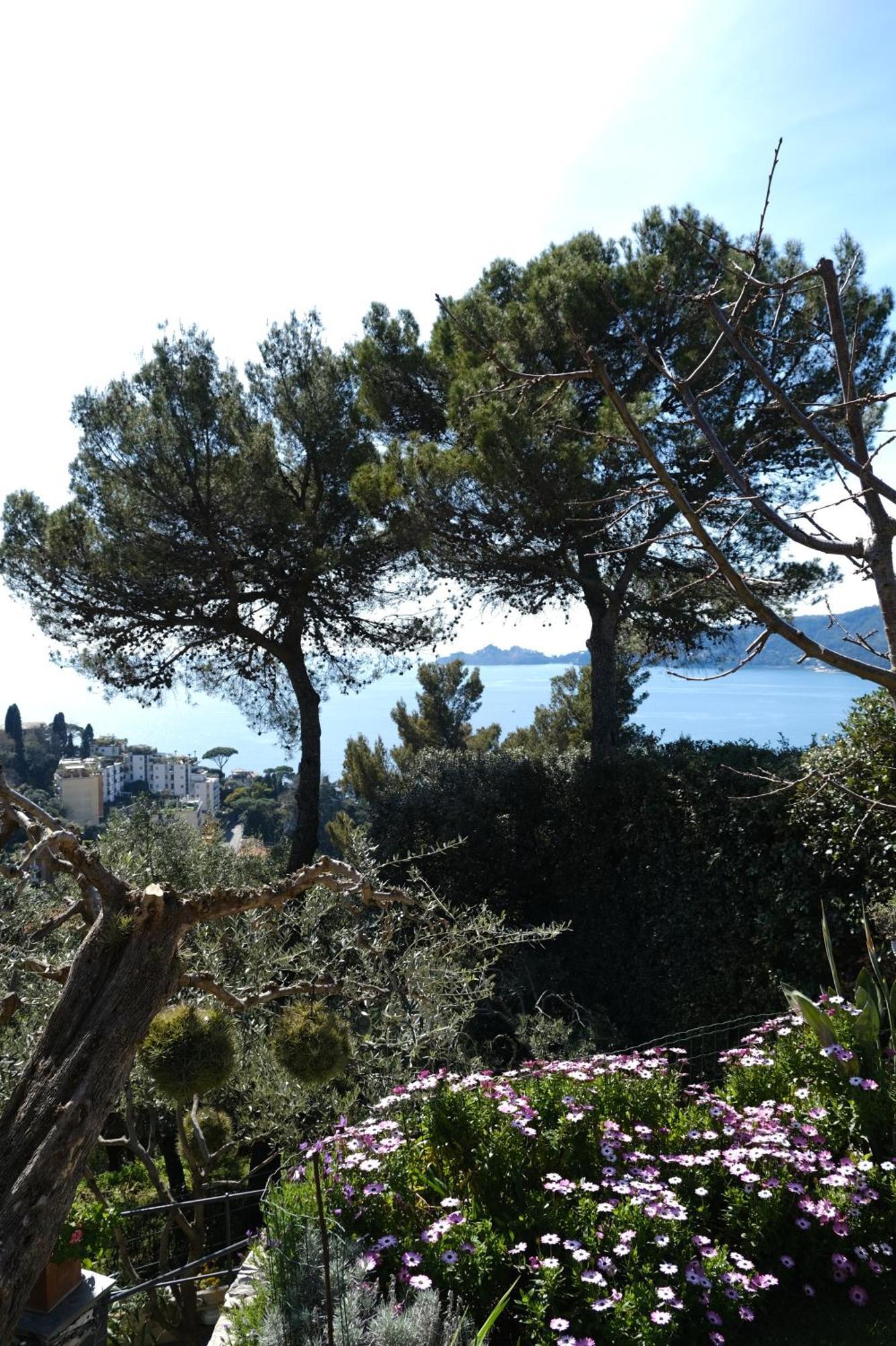 L'Alcova Tra Gli Ulivi By Portofinovacanze 佐阿利 外观 照片