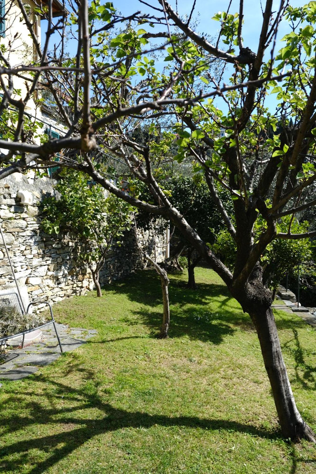 L'Alcova Tra Gli Ulivi By Portofinovacanze 佐阿利 外观 照片