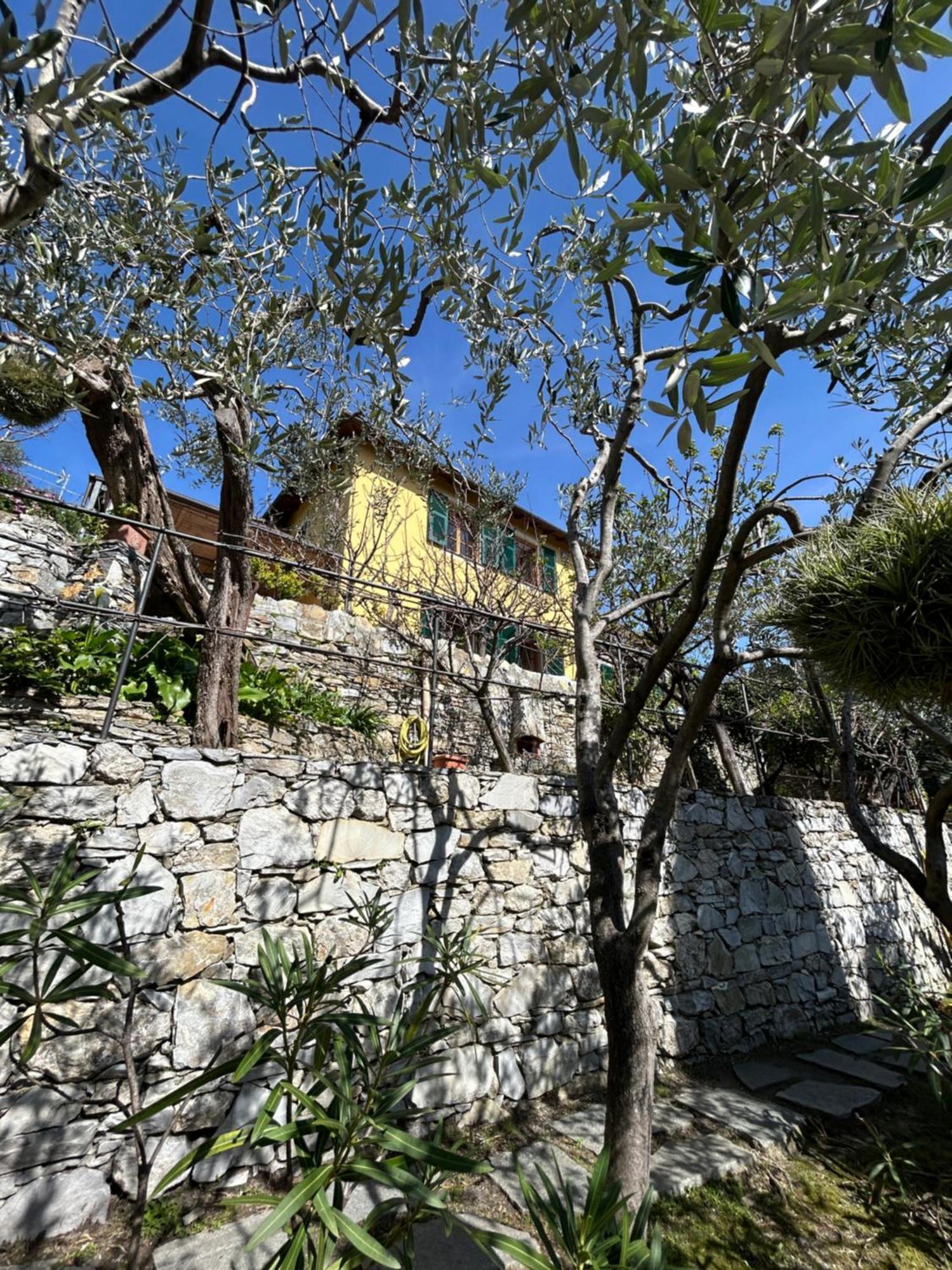 L'Alcova Tra Gli Ulivi By Portofinovacanze 佐阿利 外观 照片