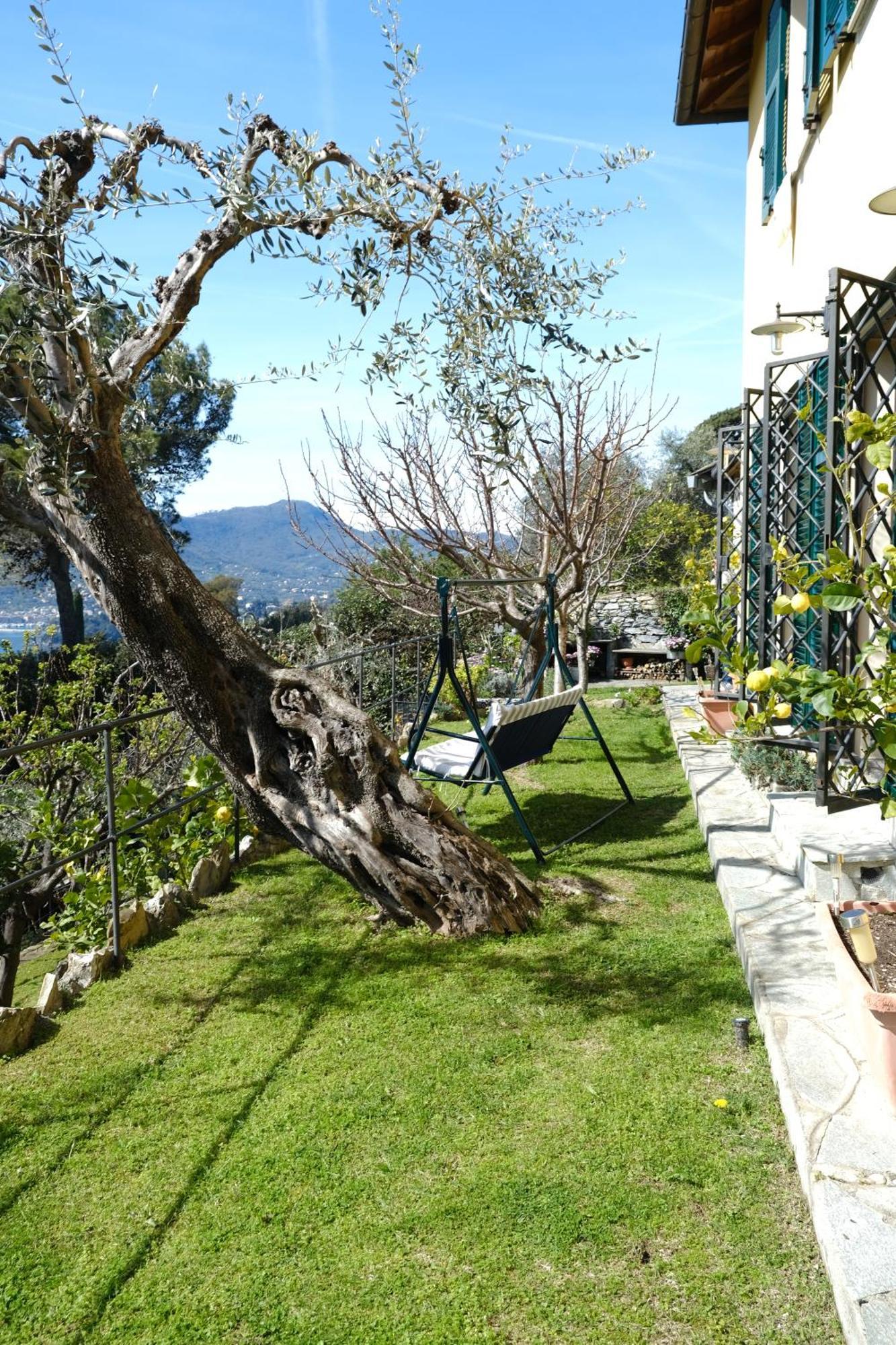 L'Alcova Tra Gli Ulivi By Portofinovacanze 佐阿利 外观 照片