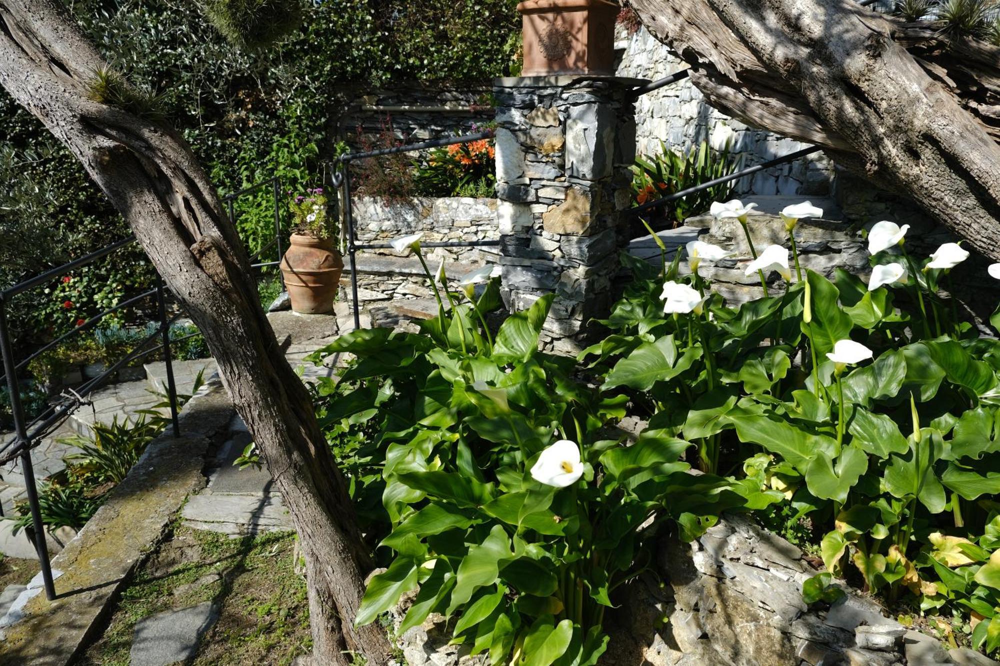 L'Alcova Tra Gli Ulivi By Portofinovacanze 佐阿利 外观 照片